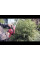 Акумуляторний кущоріз WORCRAFT CHT-S20Li